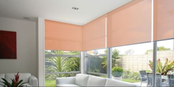 Cortinas roller sun screen